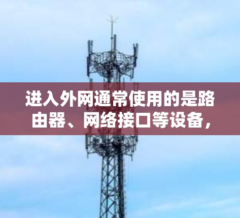 进入外网通常使用的是路由器、网络接口等设备，而非梯子。以下是一些安全和实用的方法
