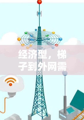 经济型,梯子到外网需要多少钱?