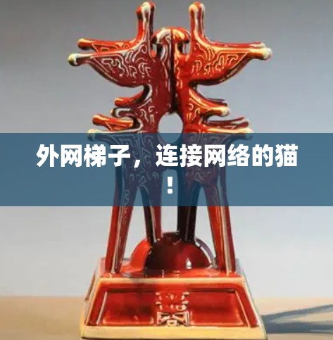 外网梯子，连接网络的猫！