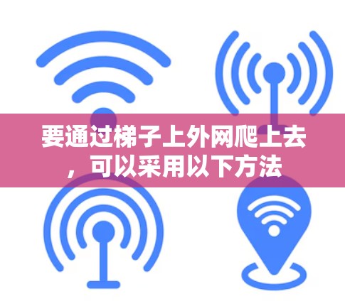 要通过梯子上外网爬上去,可以采用以下方法