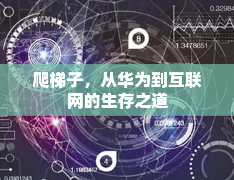爬梯子，从华为到互联网的生存之道