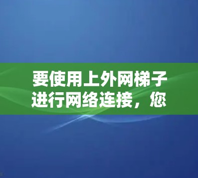 要使用上外网梯子进行网络连接,您可以按照以下步骤操作