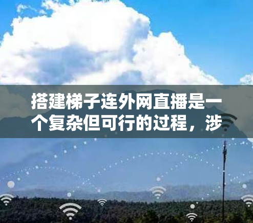 搭建梯子连外网直播是一个复杂但可行的过程，涉及多个步骤和工具的组合。以下是一个详细的指南，帮助您完成这个项目