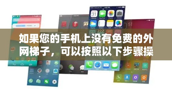 如果您的手机上没有免费的外网梯子,可以按照以下步骤操作