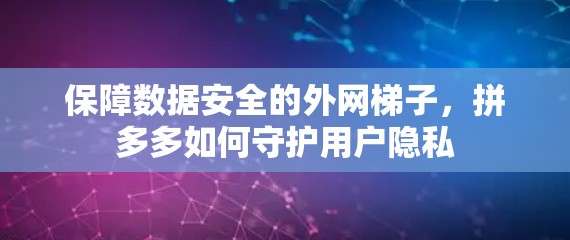 保障数据安全的外网梯子，拼多多如何守护用户隐私