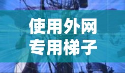 使用外网专用梯子进行网络连接，可以有效地将本地或工作站连接到外网。以下是详细的使用步骤和注意事项