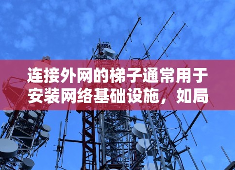 连接外网的梯子通常用于安装网络基础设施,如局域网(LAN)或广域网(GAN)以下是一些推荐的梯子类型及其购买建议