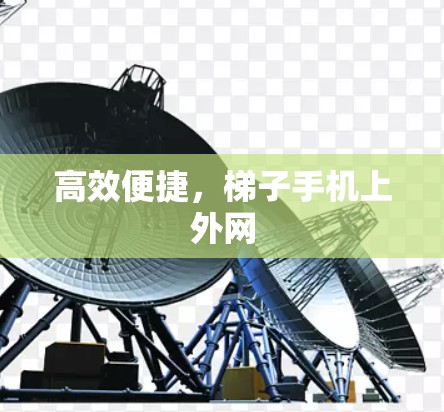 高效便捷，梯子手机上外网