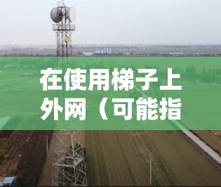 在使用梯子上外网（可能指的是搬运设备）时，通常会违反相关法律法规，从而可能面临罚款。具体罚款内容和处罚方式可能因地区和性质而异。以下是可能涉及的罚款信息