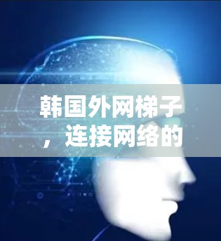 韩国外网梯子，连接网络的必用设备