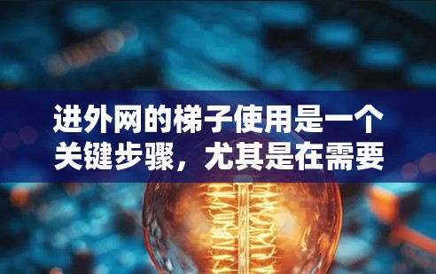 进外网的梯子使用是一个关键步骤，尤其是在需要快速疏散或进行紧急事件时。以下是一步步的指南，帮助您顺利完成梯子使用