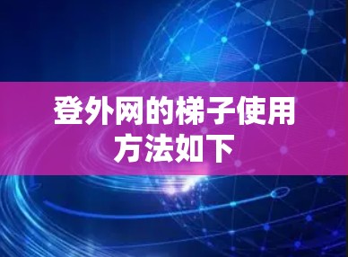 登外网的梯子使用方法如下