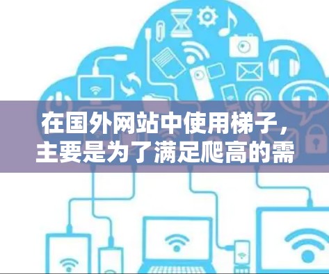 在国外网站中使用梯子，主要是为了满足爬高的需求，特别是在需要设置访问点或访问高楼层的网站中。以下是对这一过程的详细分析