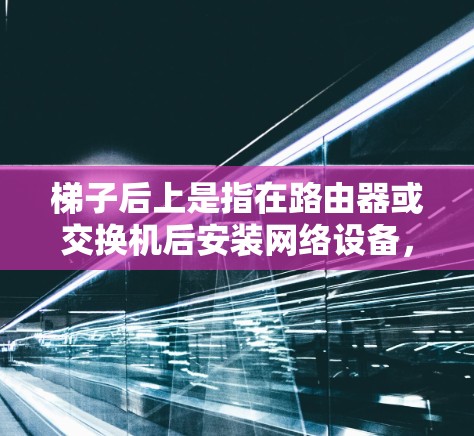 梯子后上是指在路由器或交换机后安装网络设备，用于连接外部互联网。这些设备允许用户访问外部网络中的服务器、网站、文件和应用程序。以下是一些常见的外部网站，并解释它们的访问限制