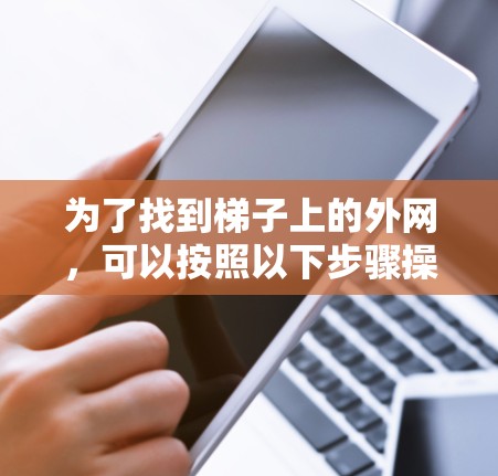 为了找到梯子上的外网，可以按照以下步骤操作
