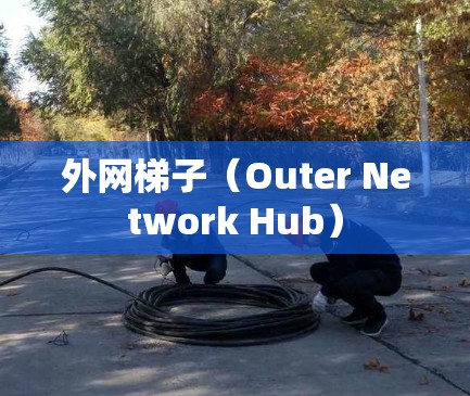 外网梯子（Outer Network Hub）