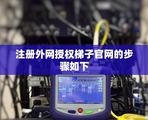 注册外网授权梯子官网的步骤如下