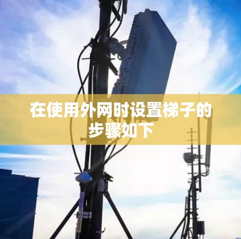在使用外网时设置梯子的步骤如下