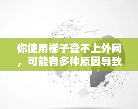 你使用梯子登不上外网，可能有多种原因导致。以下是逐步排查和解决问题的步骤