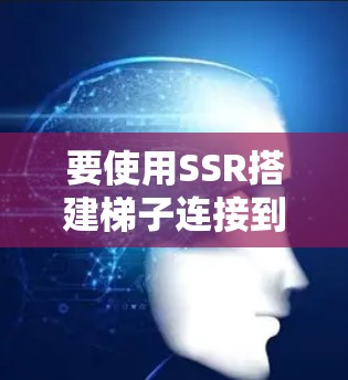 要使用SSR搭建梯子连接到外网，按照以下步骤操作