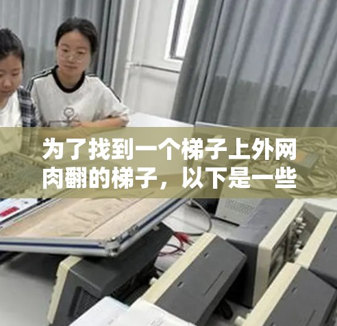 为了找到一个梯子上外网肉翻的梯子，以下是一些考虑步骤和建议