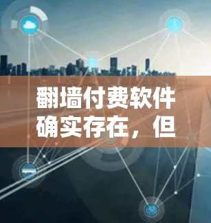 翻墙付费软件确实存在，但需综合考虑使用场景、预算和需求来决定使用。以下是一些关键点，帮助您做出明智的选择