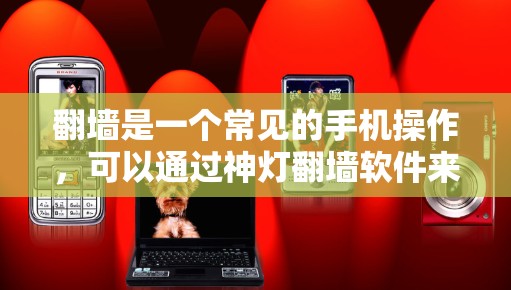 翻墙是一个常见的手机操作，可以通过神灯翻墙软件来实现。以下是对这个过程的详细步骤和考虑