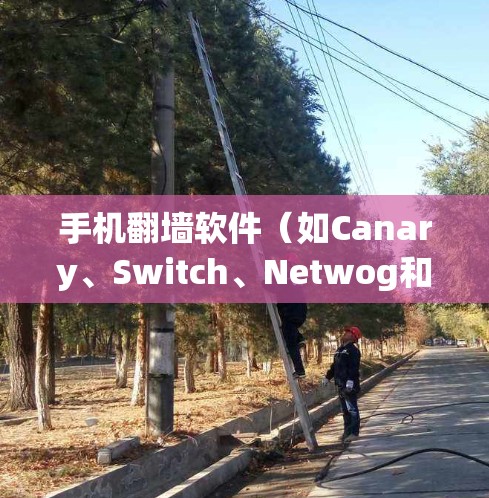手机翻墙软件（如Canary、Switch、Netwog和PhonePe的翻墙工具）可以帮助用户访问中国本地的网络，但使用时需注意以下几点