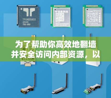 为了帮助你高效地翻墙并安全访问内部资源，以下是对推荐工具的详细总结和选择建议