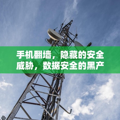 手机翻墙，隐藏的安全威胁，数据安全的黑产行为