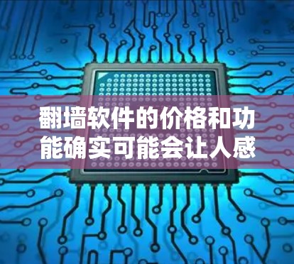 翻墙软件的价格和功能确实可能会让人感到困惑，但通过以下分析，我们可以更好地理解其使用和潜在问题