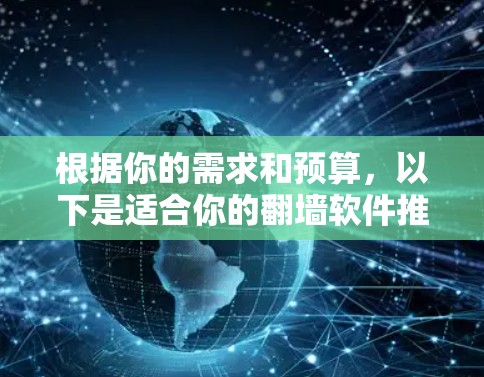 根据你的需求和预算，以下是适合你的翻墙软件推荐