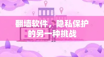 翻墙软件，隐私保护的另一种挑战