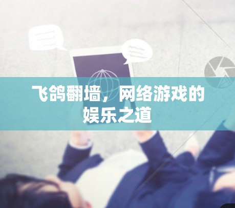飞鸽翻墙，网络游戏的娱乐之道