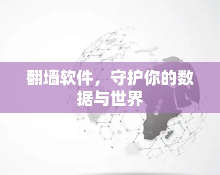 翻墙软件，守护你的数据与世界