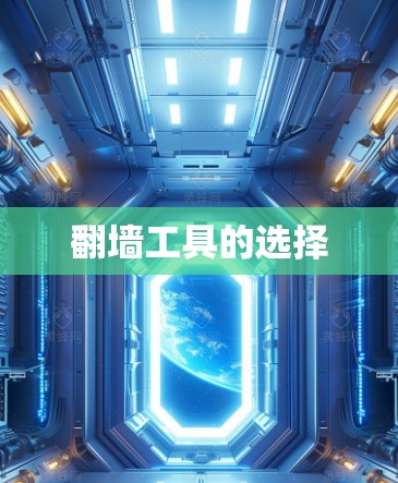 翻墙工具的选择