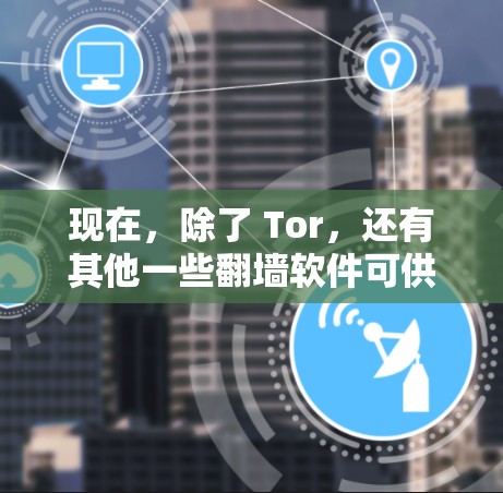现在，除了 Tor，还有其他一些翻墙软件可供选择，但选择时需要谨慎，确保符合自己的安全要求。以下是几款常见且功能丰富的翻墙软件