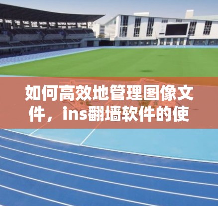 如何高效地管理图像文件，ins翻墙软件的使用指南
