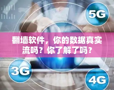 翻墙软件，你的数据真实流吗？你了解了吗？