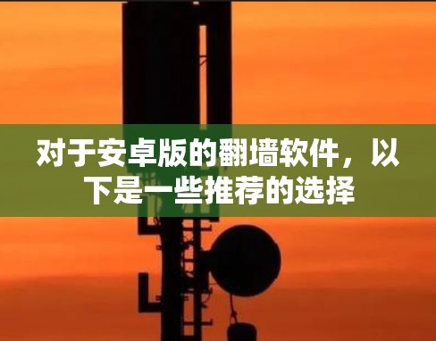 对于安卓版的翻墙软件，以下是一些推荐的选择