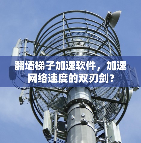 翻墙梯子加速软件，加速网络速度的双刃剑？