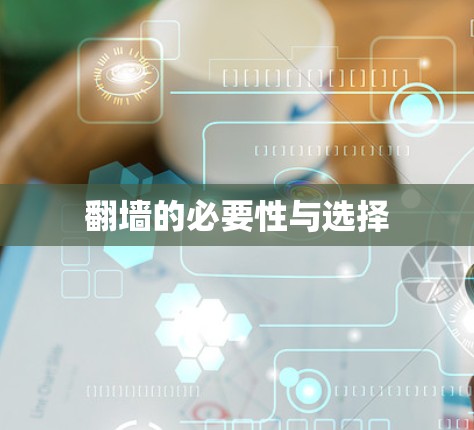 翻墙的必要性与选择