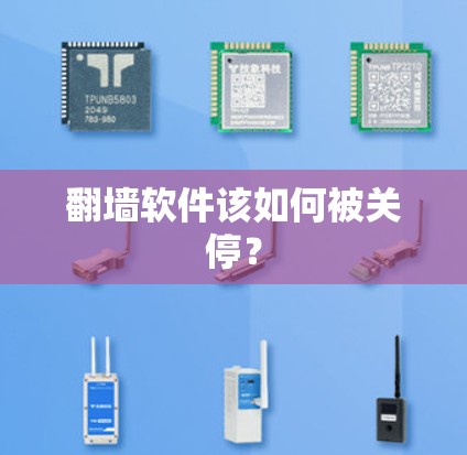 翻墙软件该如何被关停?