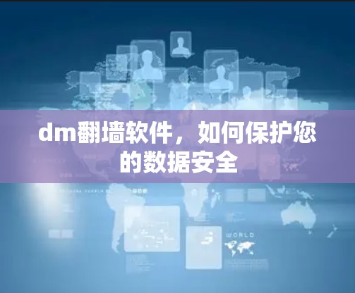 dm翻墙软件,如何保护您的数据安全