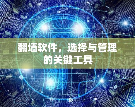 翻墙软件,选择与管理的关键工具