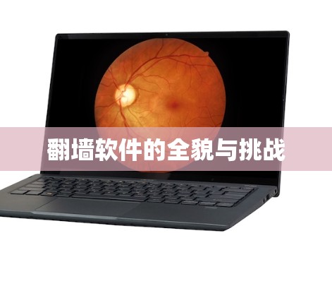 翻墙软件的全貌与挑战
