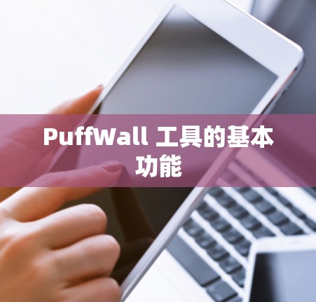 PuffWall 工具的基本功能