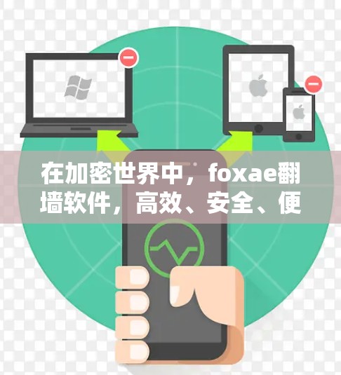 在加密世界中，foxae翻墙软件，高效、安全、便捷的加密工具