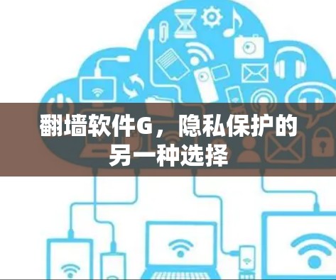 翻墙软件G，隐私保护的另一种选择