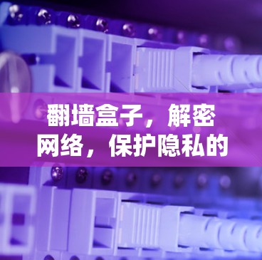 翻墙盒子，解密网络，保护隐私的高效工具